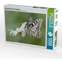 Calvendo Puzzle Schwalbenschwanz an Margerite 1000 Teile Lege-Größe 64