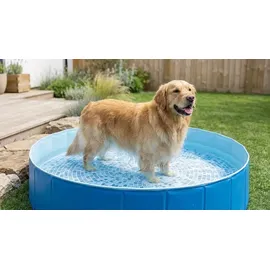 Intex Faltbarer Hundepool Ø 152 cm (48400NP)
