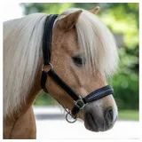 STAR Lederhalfter Diamond (VB) - Schwarz - VB