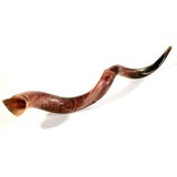 Schofar Shofar Kosher Yemenite Horn Polished Natural Showfar Schofar Chofar Antelope Gift Judaica Jumbo Big koscher Hupe