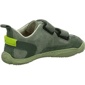 qnuffs Ahorn grau 32