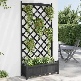 vidaXL Pflanzkübel mit Spalier 60 x 30 cm Schwarz