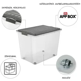 Rotho Compact 39,5 x 43,5 x 57 cm transperant/anthrazit