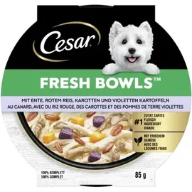 Cesar Fresh Bowls Ente in Sauce 20 x 85 g