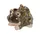 PROGARDEN Froschfigur, Gartendekoration, 10 x 11 cm,