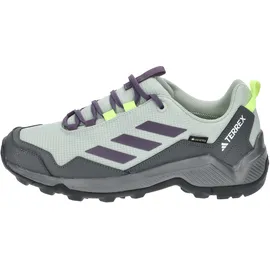 Adidas Terrex Eastrail Gore-Tex Wonder Silver / Shadow Violet / Lucid Lemon 40 2/3