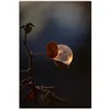 Leinwandbild »Seifenblasen auf Rosenblatt«, Blätterbilder, (1 St.), schwarz