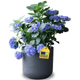 ONDIS24 Pflanzkübel Pflanzkübel Blumenkübel Blumentopf Kunststoff Vulkan Wasserspeicher grau Ø 39 cm