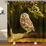 Duschvorhang 200x200 Eule Duschrollo Wasserabweisend Anti-Schimmel mit 12 Duschvorhangringen, 3D Bedrucktshower Shower Curtains, für Duschrollo für Badewanne Dusche