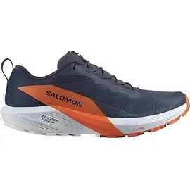Salomon Sense Ride 5 GTX für Herren Trailrunningschuhe, grau, 47 EU -
