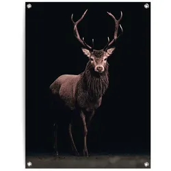Poster REINDERS "Hirsch Sepia", braun (farbe bild(er): braun), B:60cm H:80cm T:0,1cm, Leinwand, Bilder