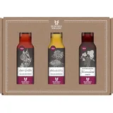 Ölmühle Solling Fruchtessige bio (3x100ml)