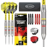 Target Darts Gabriel Clemens 22G Brass Dartpfeile Steeldarts-Set - Mit Zusätzlichem Zubehör-Geschenkpaket, Silber und Gelb