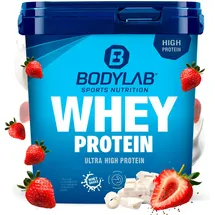Bodylab24 Whey Protein Erdbeer & Weiße Chocolate Chunks Pulver 2000 g