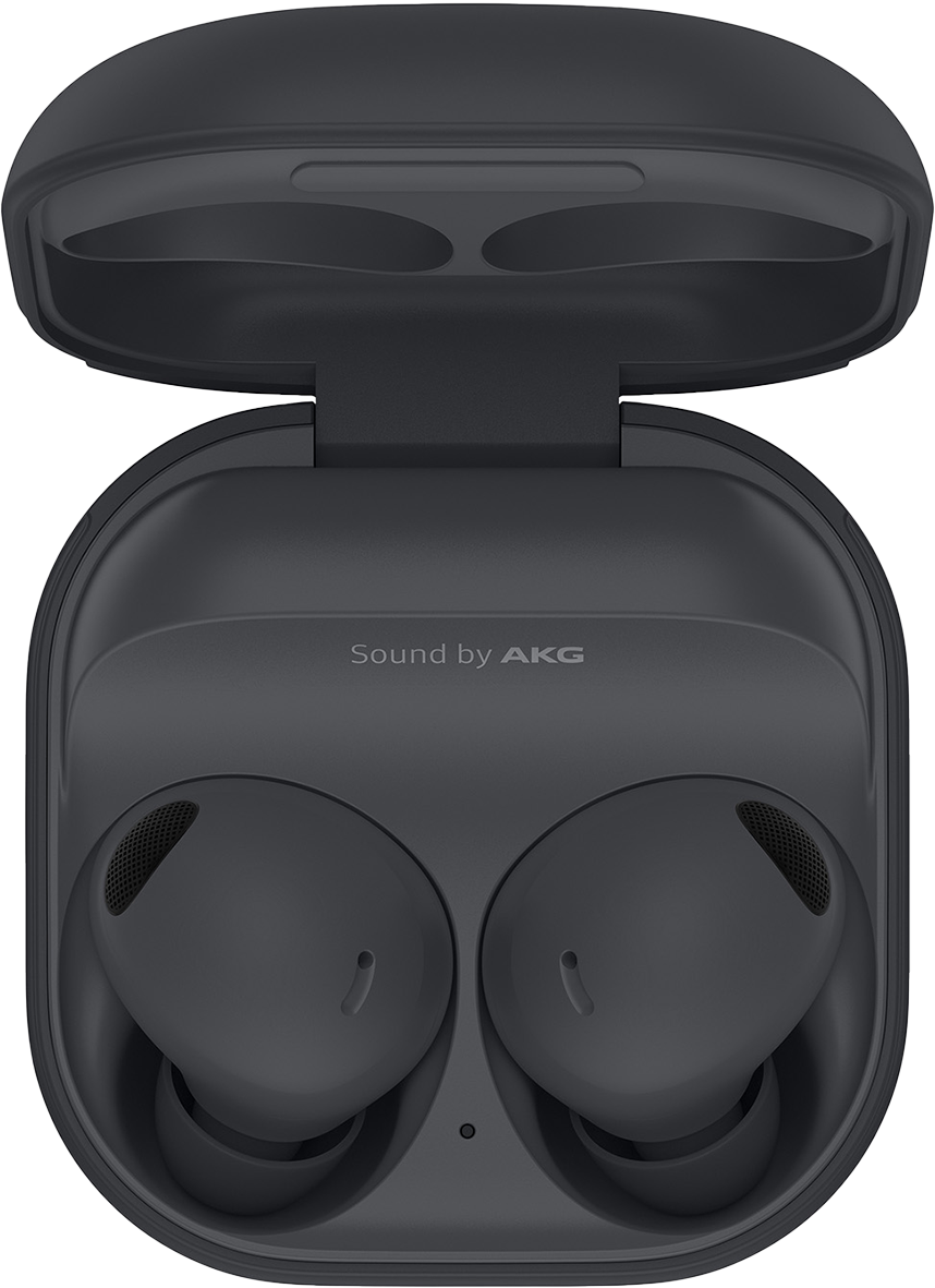 Preisvergleich Produktbild Samsung R510 Galaxy Buds 2 Pro grau Graphite