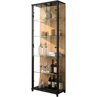 fif möbel Vitrine OPTIMA Standvitrine, Vitrinenschrank, Glasvitrine, Sammlervitrine schwarz 57,5 cm x 172 cm x 32 cm