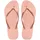 ballet rose 33-34