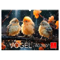 Calvendo Vögel Alltag (Wandkalender 2026 DIN A3 quer), CALVENDO