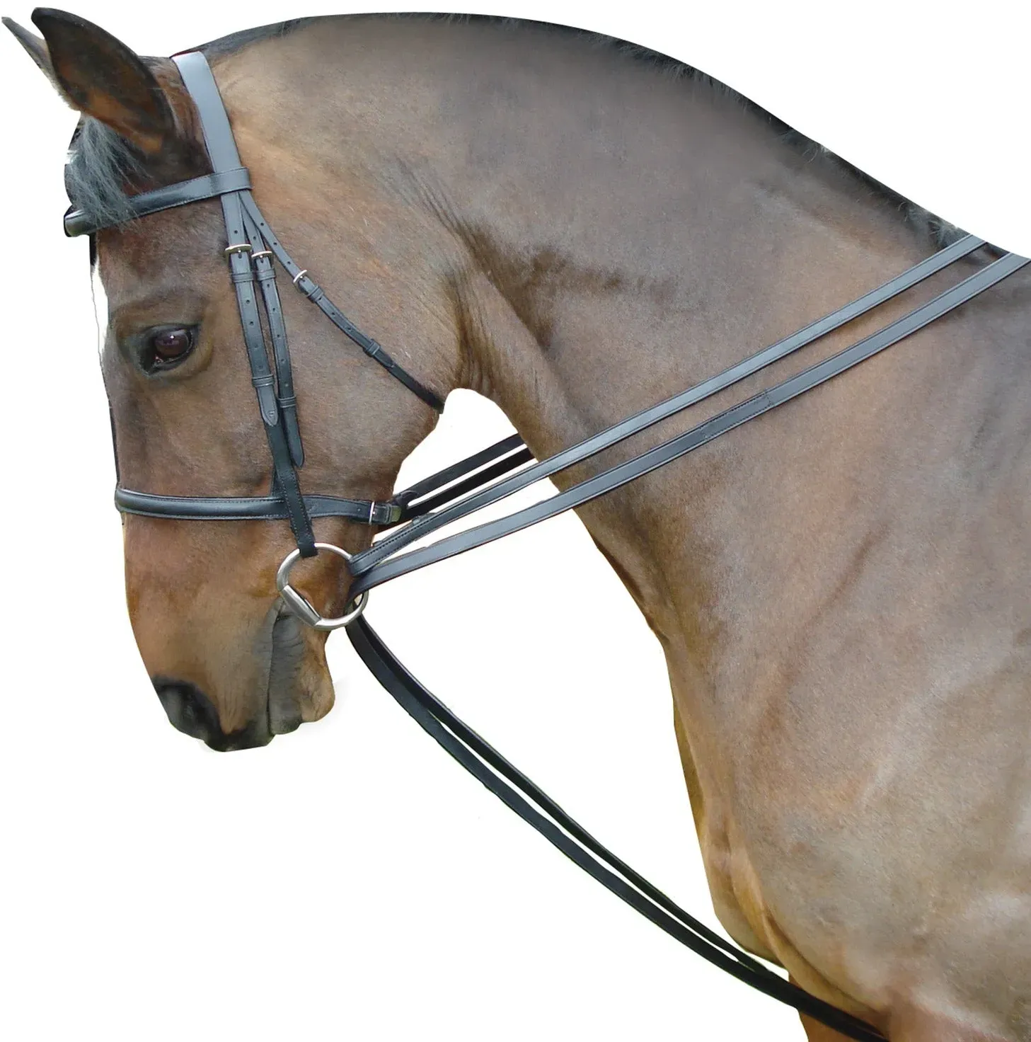 Kincade Schlaufzügel aus Leder