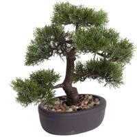 Emerald Botanic-Haus Kunstbonsai »Ceder Bonsai Grün 32 cm 420001