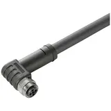 Weidmüller 2050691000 Sensor-/Aktor-Steckverbinder, konfektioniert Buchse 20.00cm Polzahl Sensoren: 4 1St.
