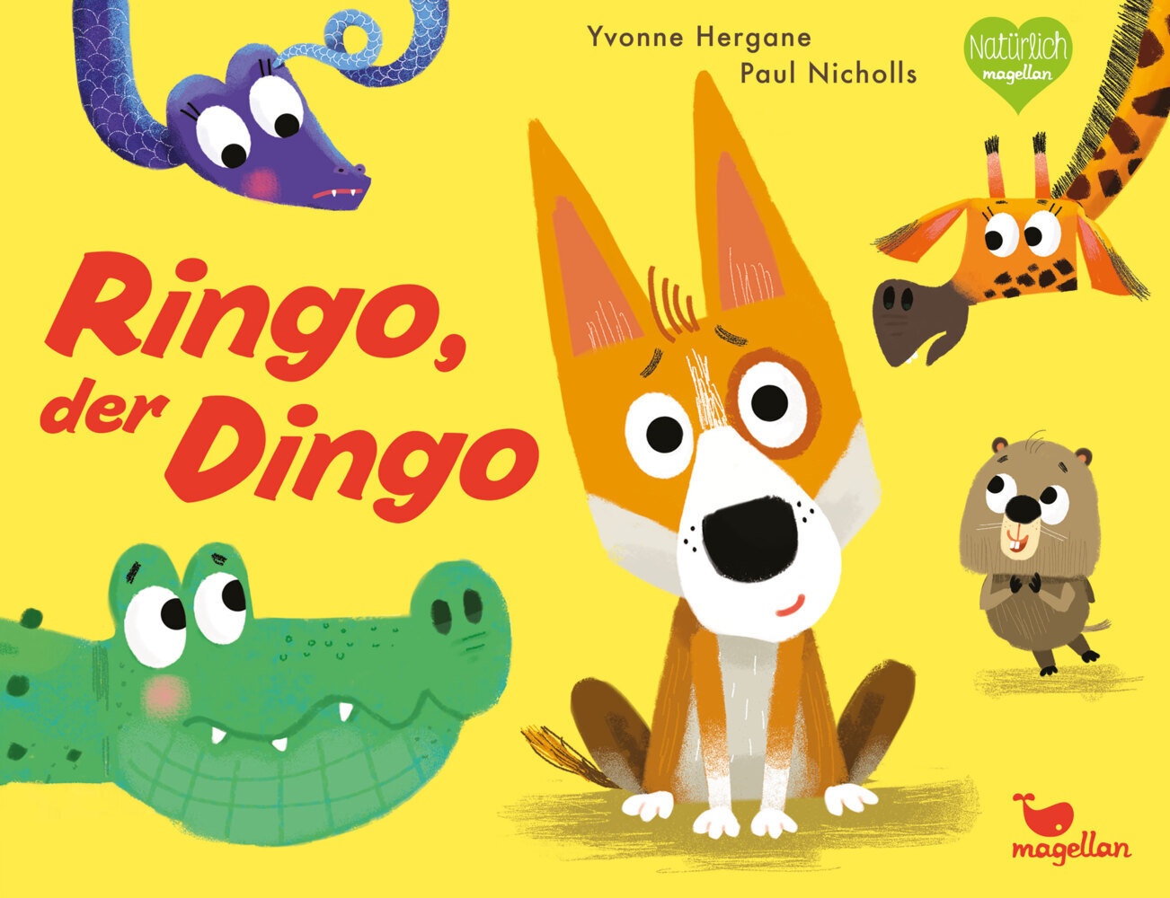 Ringo  Der Dingo - Yvonne Hergane  Pappband