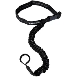 Icetools Web Leash