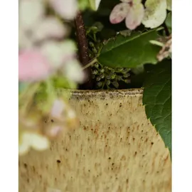 House Doctor Corp Vase, 27 cm, beige