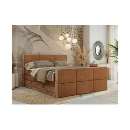 MKS Meble Boxspringbett mit Bettkasten - orange - Maße (cm): B: 208 H: 113