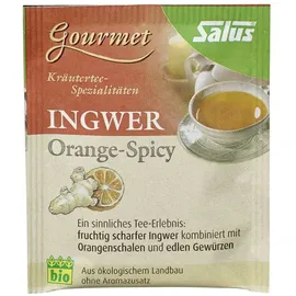 SALUS Orange Ingwer Kräutertee 15x2 g