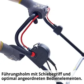 Hecht 1845 1800 W