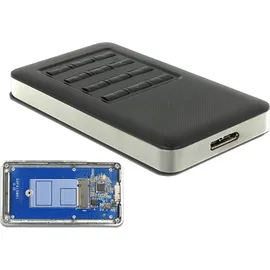 DeLock M.2 Gehäuse 1 x M.2 SATA USB 3,0