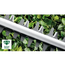 Bosch DIY AdvancedHedgeCut 65 06008C0801
