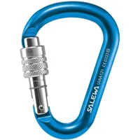 Salewa HMS-Karabiner Grau/Schwarz