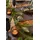 BLOMUS Windlicht Calma Stein, Marmor, Granit Grau Dunkelgrau S (Small)
