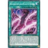 MP22-DE094 - Rosenwurzelaustrieb - Common - Deutsch - 1. Auflage - im Set mit Ultrapro Toploader - Yugioh