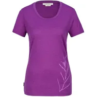 Icebreaker Merino 150 Tech Lite Scoop Panax Kurzarm-t-shirt -