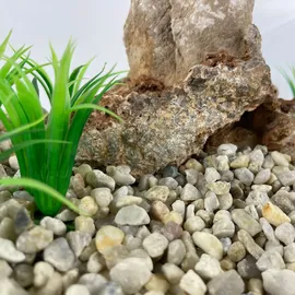 Schicker Mineral Aquarienkies beige 25 kg