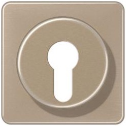 Jung Abdeckung für Schlüsselschalter (gold-bronze)