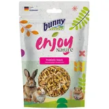 Bunny Nature Bunny EnjoyNature Prebiotic-Snack Topinamburstängel | 35 g | Ergänzungsfuttermittel für Zwergkaninchen & Nagetiere