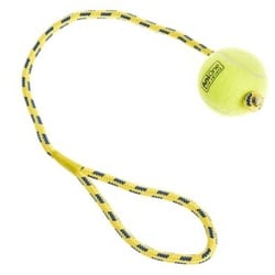 AniOne Tennisball mit Seil