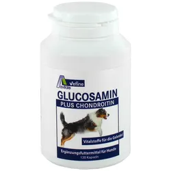 Glucosamin+Chondroitin Hunde 120 St