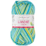 Schoeller&Stahl Effektgarn Limone Color Blau 125 m
