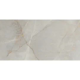 Euro Stone Bodenfliese Feinsteinzeug Arch light grey 30 x 60 cm