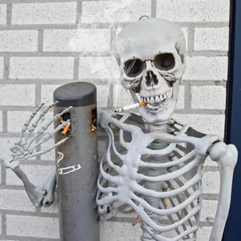 MikaMax Lebensgroßes Skelett 1,70 m, realistisches Design, Halloween-Dekorationsideen, Friedhofsspukknochen. Maße: 170 x 45 cm