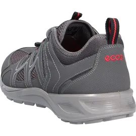 ECCO Terracruise LT Herren Grau 44