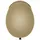 Smith Optics Scout 51-55 cm Beige/Gold