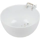 räder LIVING Porzellangeschichten Schale Katze