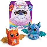 Spin Master Hatchimals Alive Mystery Ei Draggle