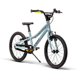 PUKY LS-PRO 18-1 (2023) 18" ash blue